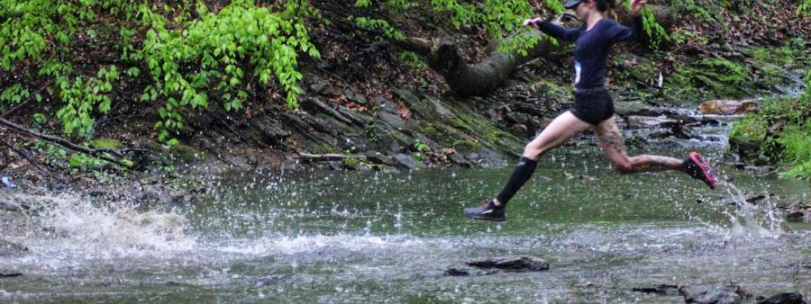 Dirty German Endurance Fest Logo