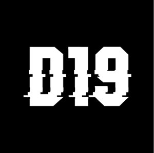 District 19 Race Series Logo
