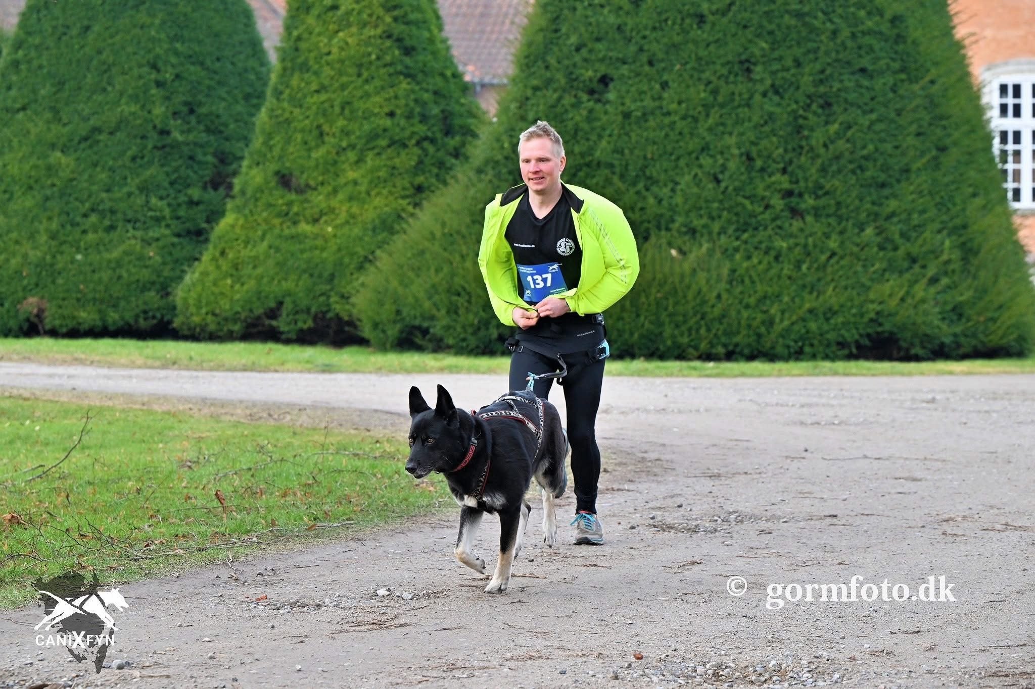 Dog Run DK Hedeland - 3. del DCF Dog Series 26/27