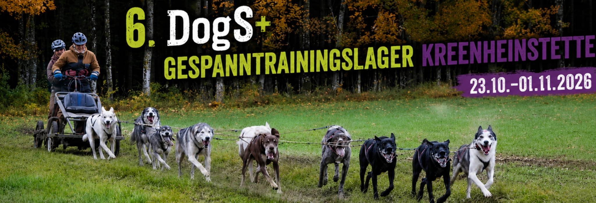 DogS+ Trainingslager Gespanne 2026 Logo