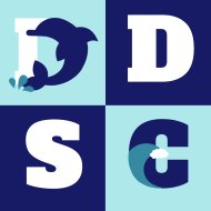 Dolphin Dash 5K (2025) Logo