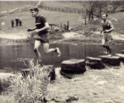 Dovedale Dash Logo