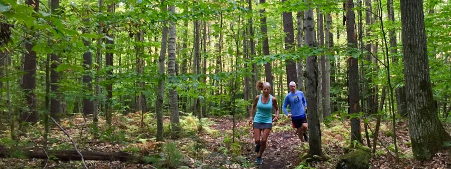 Drummer Hill Trail Races Logo