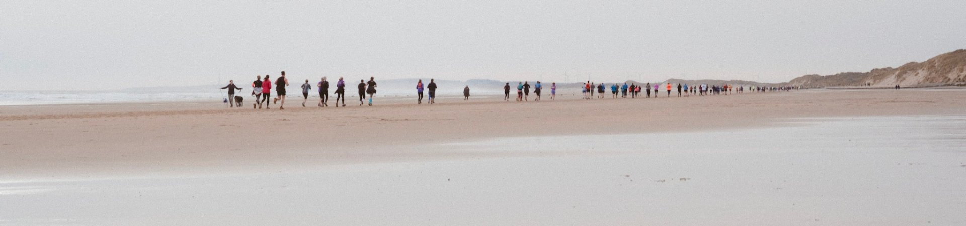 DRURIDGE BAY BEACH TRAIL RUNS Logo
