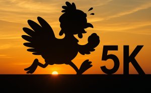 Duck Key Turkey Trot 5k Run/Walk Logo
