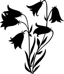 Dukeries 30 / 40 Logo