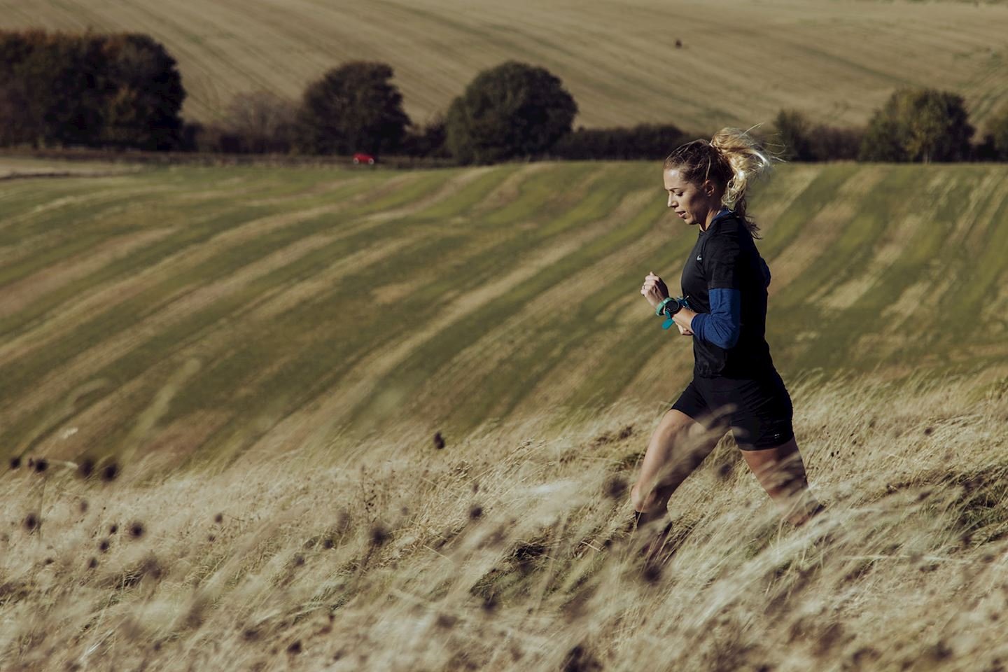 Dunstable Downs Half Marathon Logo