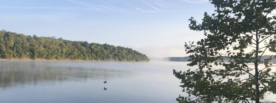 East Fork 100 mi/100K/50K/15 mi