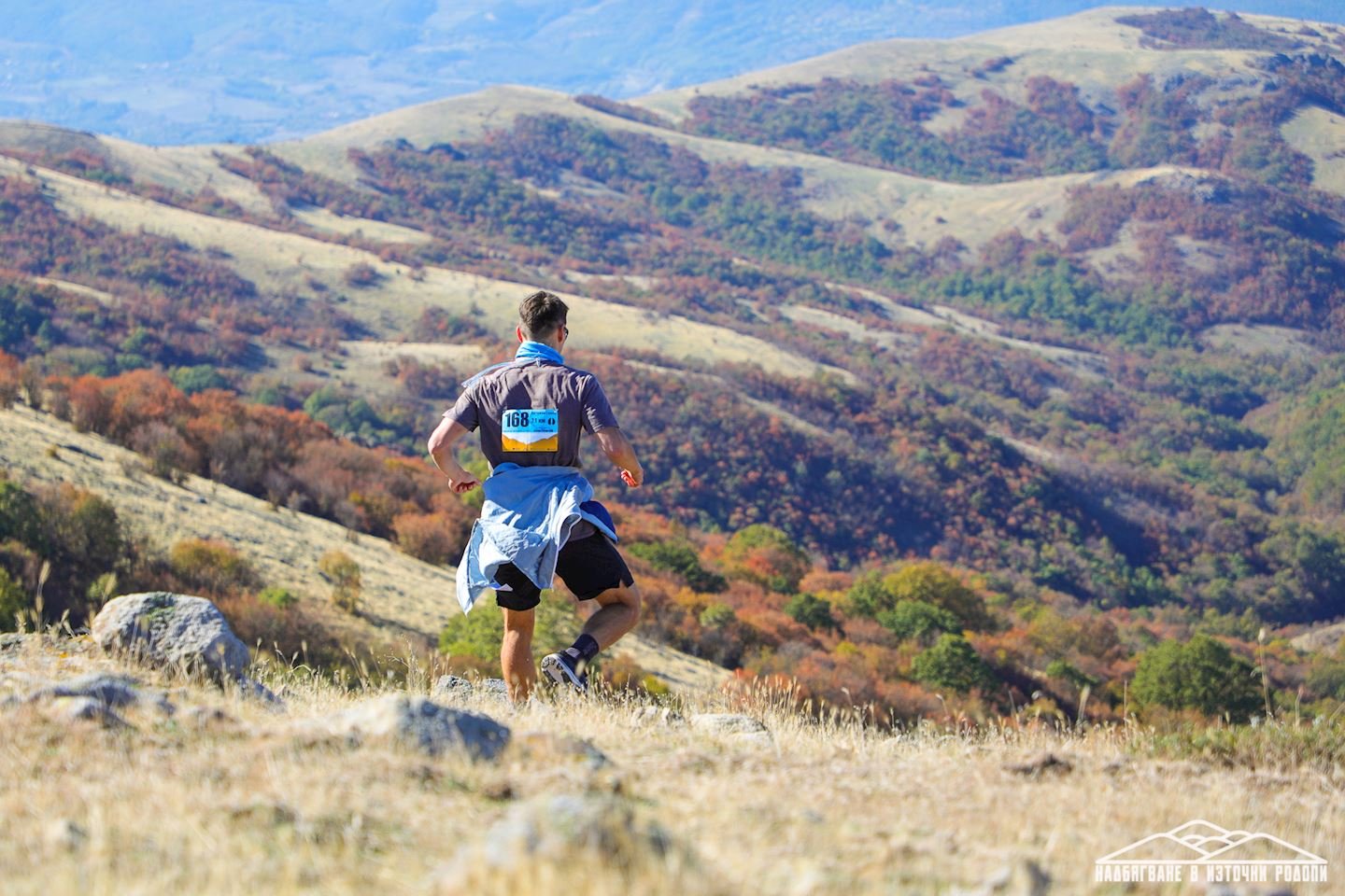Eastern Rhodopes Wild Race