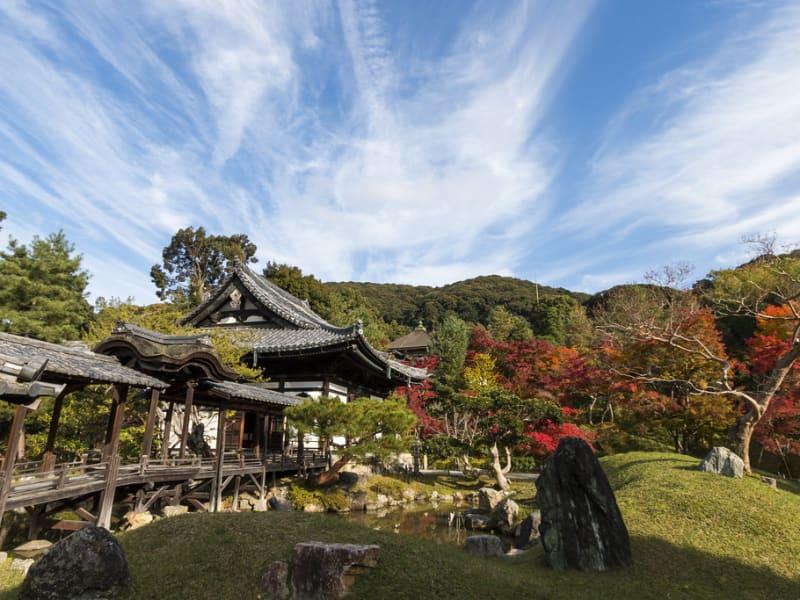 Ecomarathon de Kamogawa de Novembre