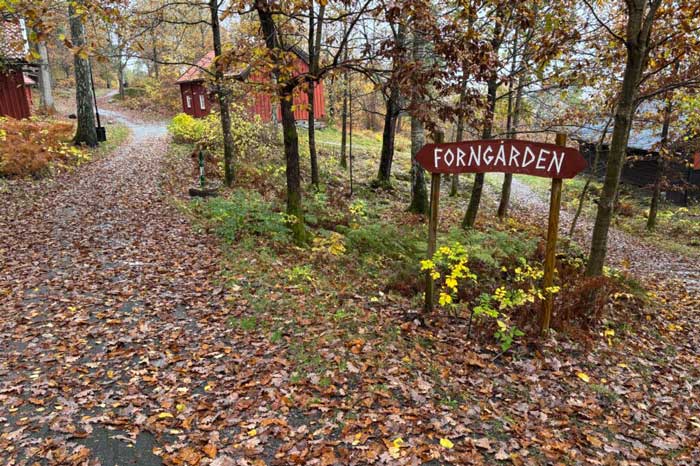 Edsvidsleden Trailrun Logo