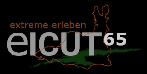 EICUT 2026 Logo