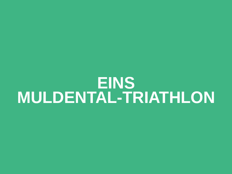 eins Muldental-Triathlon Logo