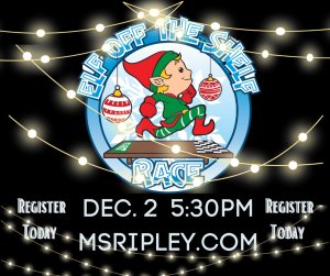 Elf Off the Shelf Fun Run Logo
