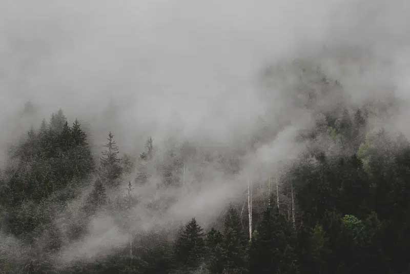 Embusquade Trail Logo