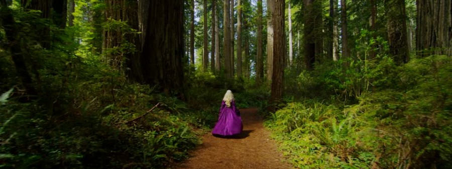 Enchanted Forest Ultra Run Logo