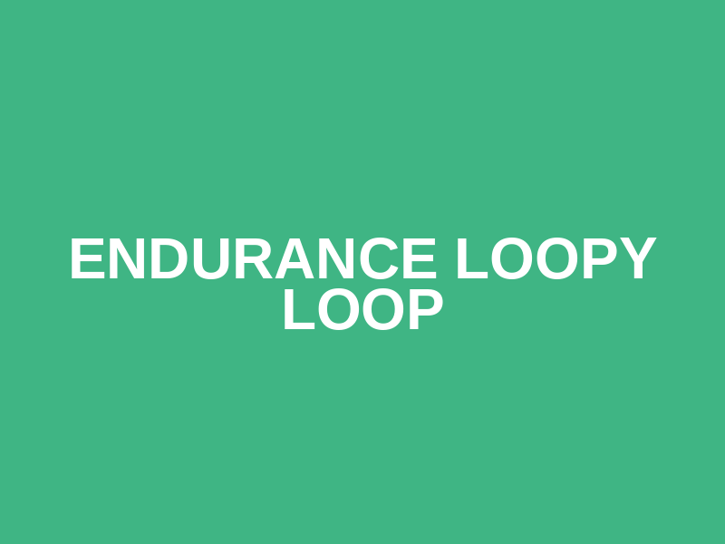 Endurance Loopy Loop Logo