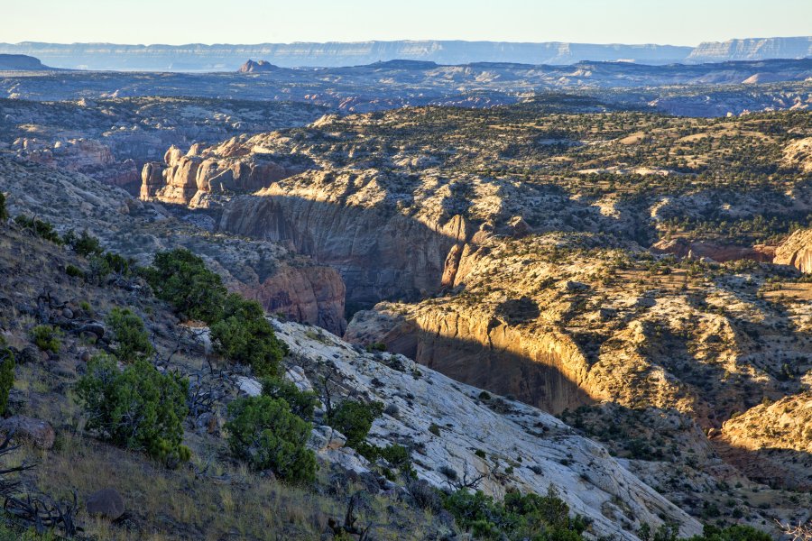 Escalante Canyons Marathon, Half Marathon, and 5K Fun Run Logo
