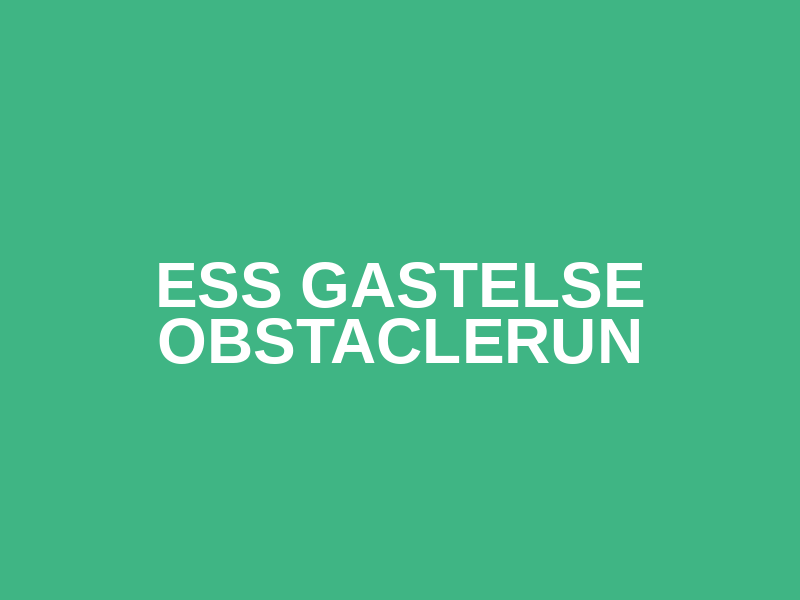 ESS Gastelse Obstaclerun