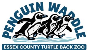 Essex County Turtle Back Zoo Penguin Waddle