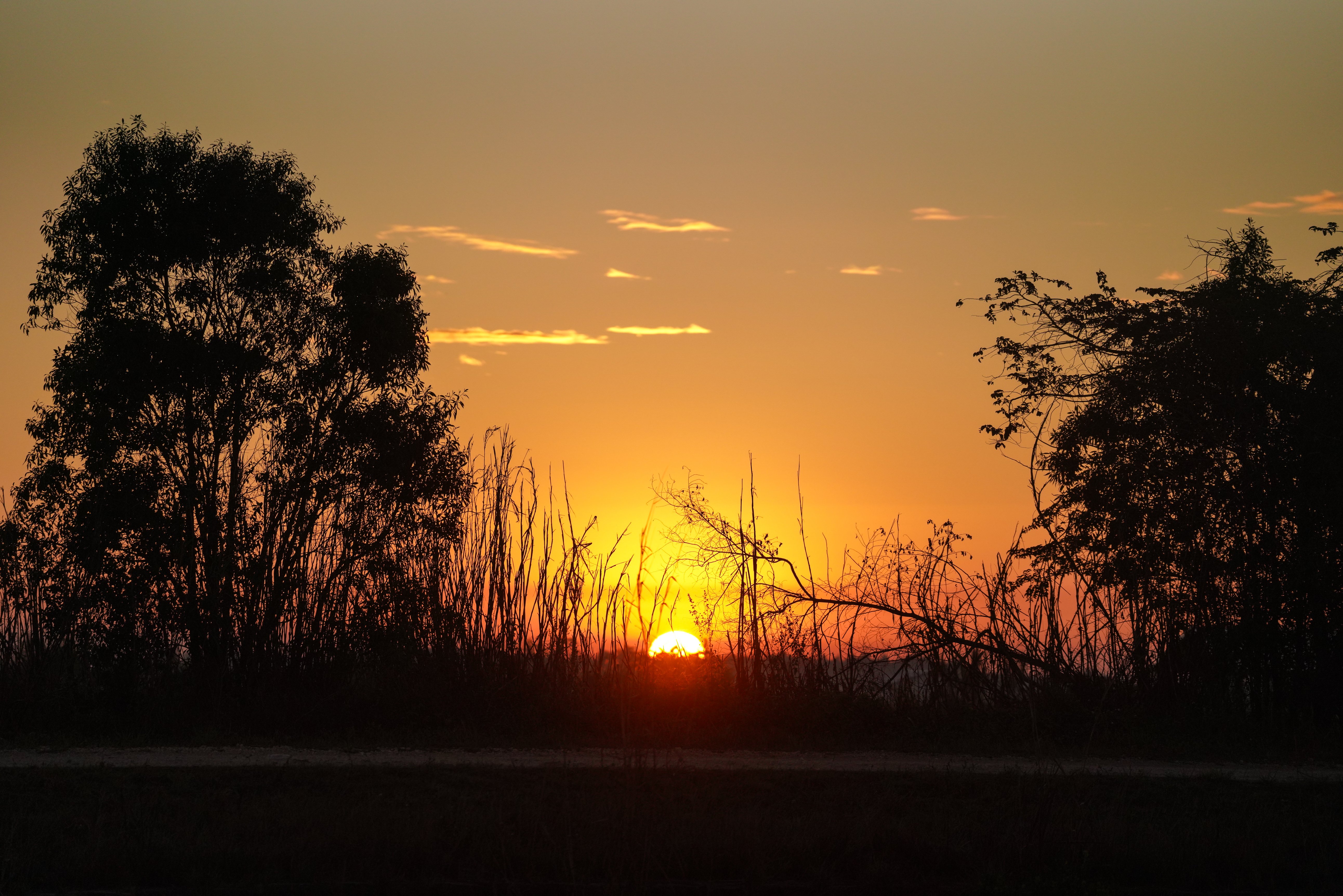 Everglades Half Marathon