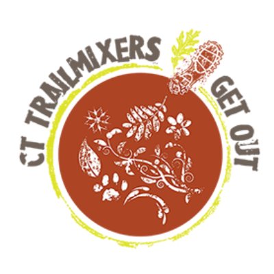 Fall Fling 400 Logo