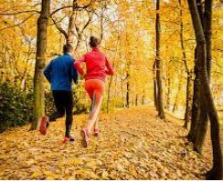 Fall Freedom 5K Run/Walk Hillsdale Logo