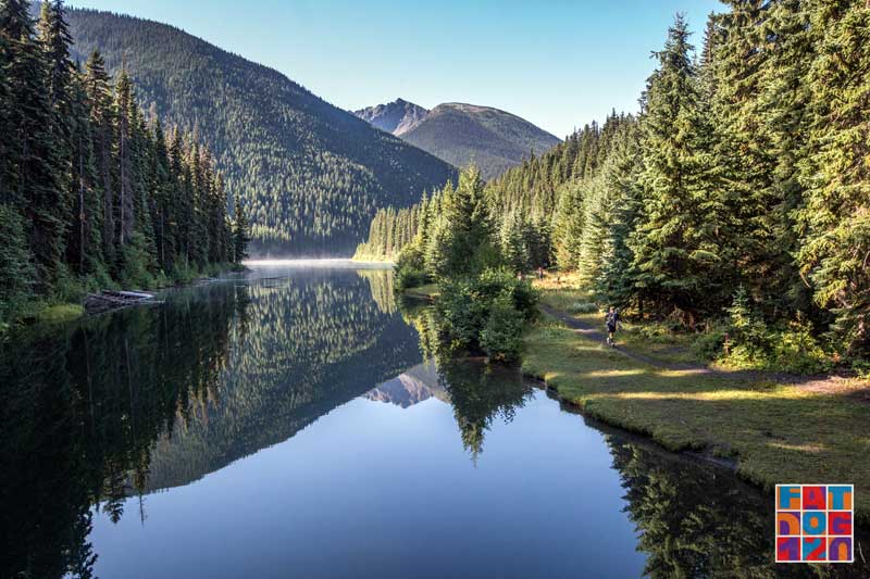 Fat Dog Backyard Ultra