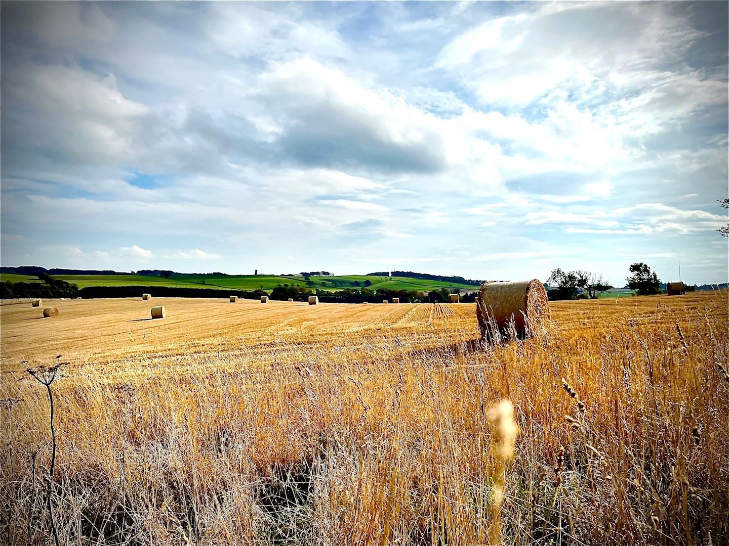 Fife Pilgrim Way Ultra