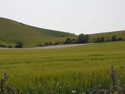 Firle 5km Handicap Trail Race Logo