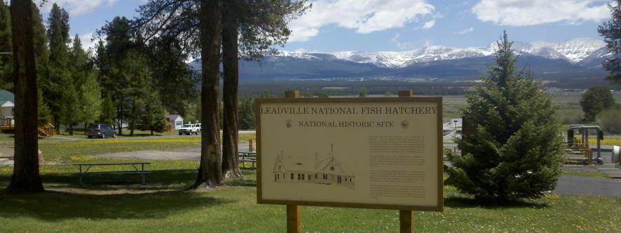 Fish Hatchery 5K Trail Run