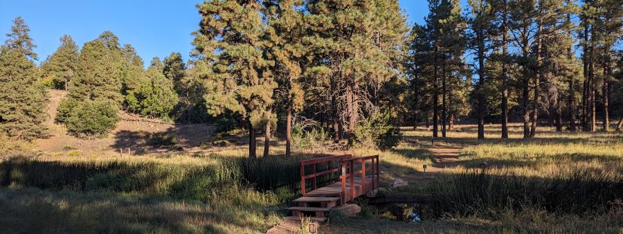 Flagstaff Loop Trail Logo