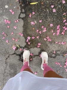 Flora Fiesta Night Run Logo