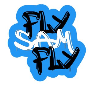 Fly Sam Fly 5K run/walk