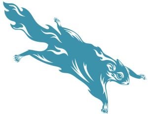 Flying Squirrel Ten Miler Logo