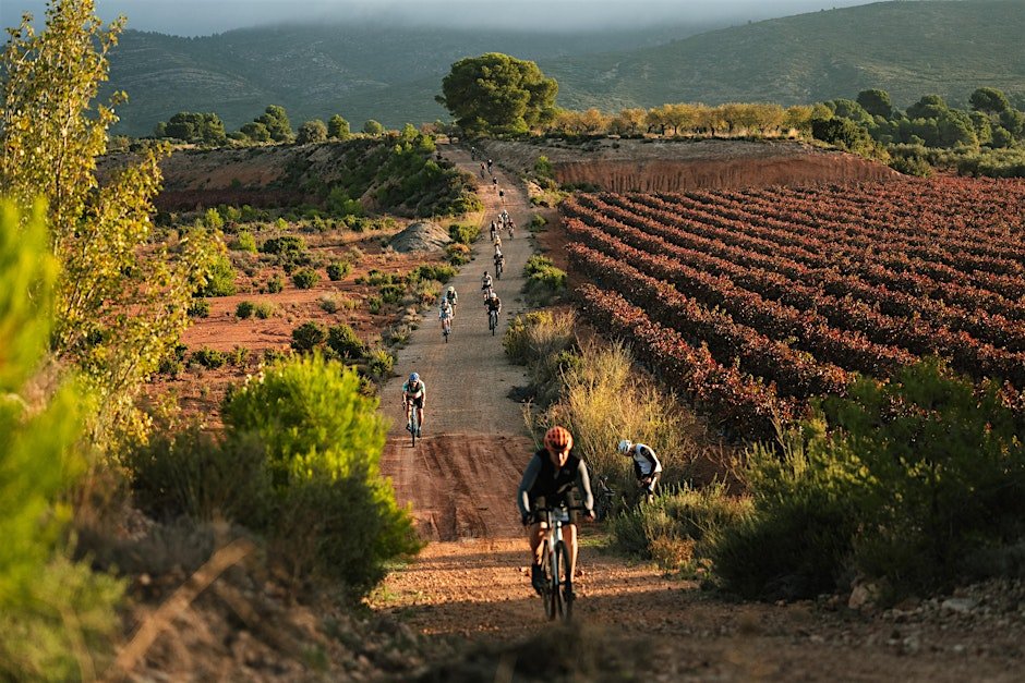 FOCUS Demo Days Wineland