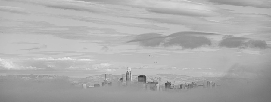 Fog City Ultra