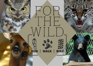 For The Wild 5K/10K+