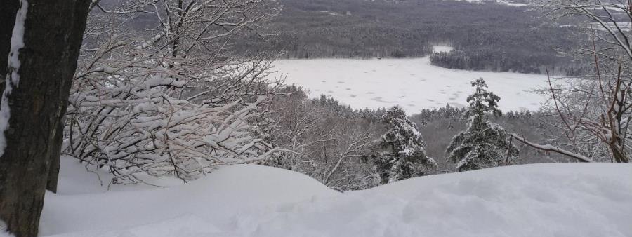 Frigus Snowshoe Festival