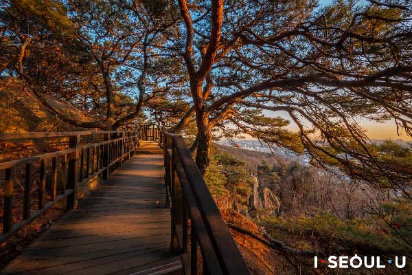 Gaehwasan Mountain Trail Run