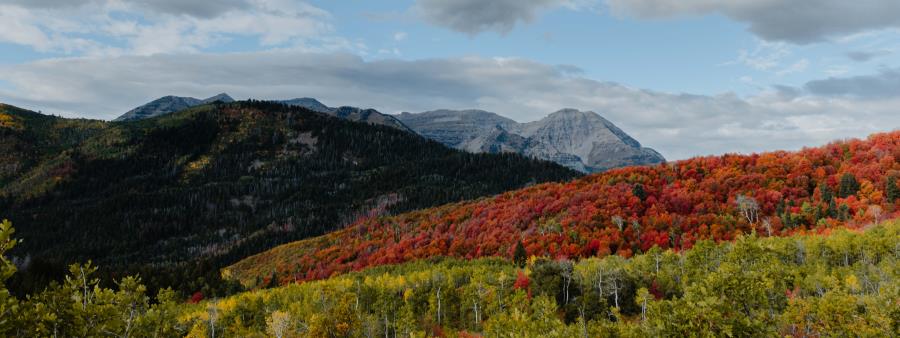 Gaspin Through The Aspens Logo