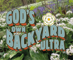 Gods Own BYU Fall Logo