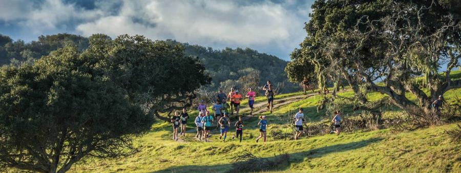 Golden State Trail Run