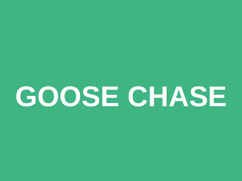 Goose Chase