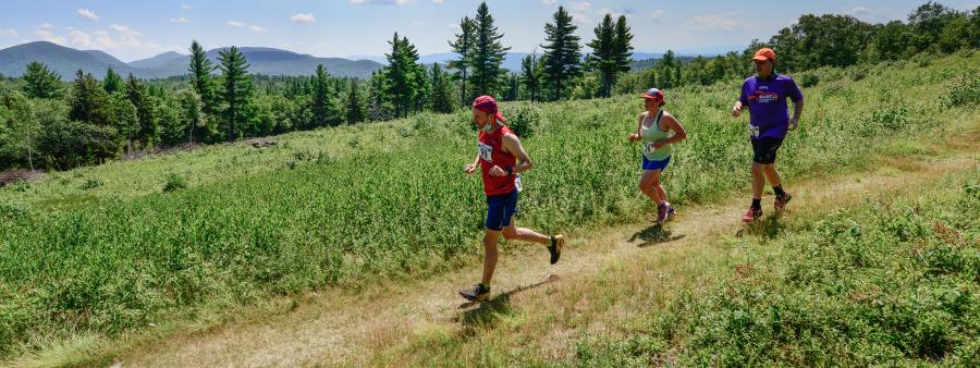 Goshen Gallop