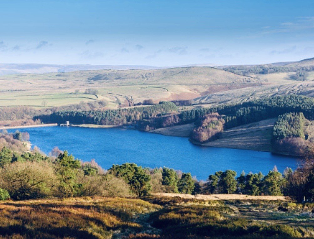 GOYT VALLEY WILD TRAIL RUNS Logo
