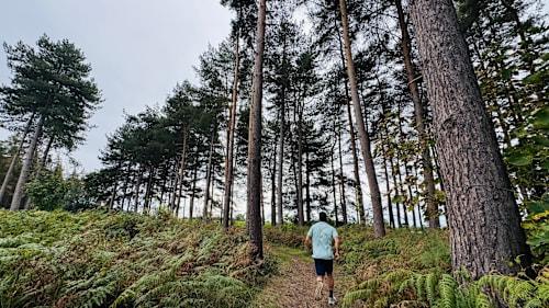 Grand Olde Route of York Trail Run 2027