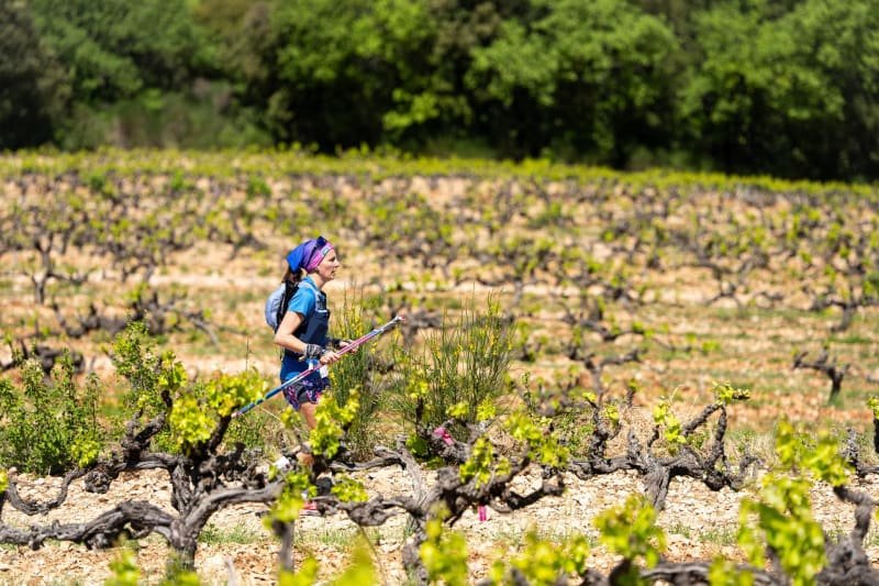 Grand Raid Ventoux by UTMB - Trail des Coteaux - TDC Logo
