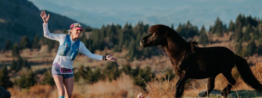 Grayson Highlands 50 Mile / 50k / 25k