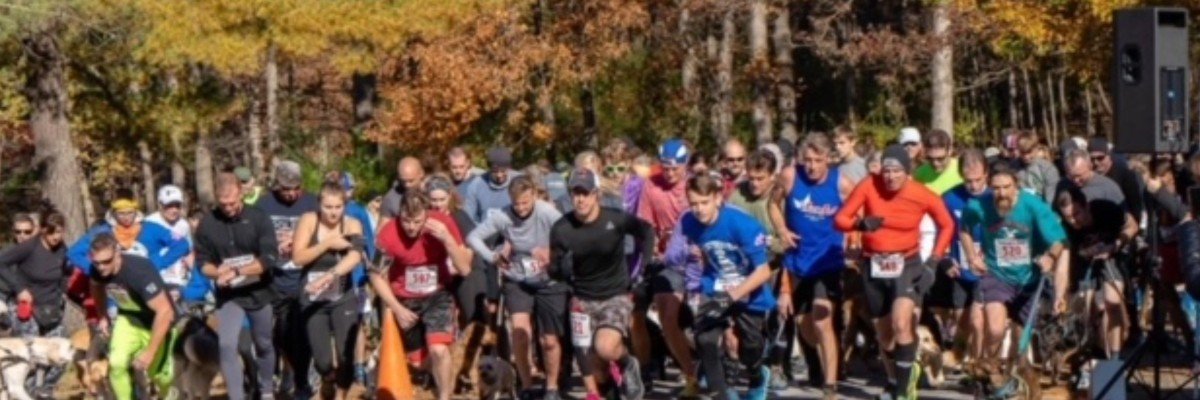 "Gulliver's Run"
